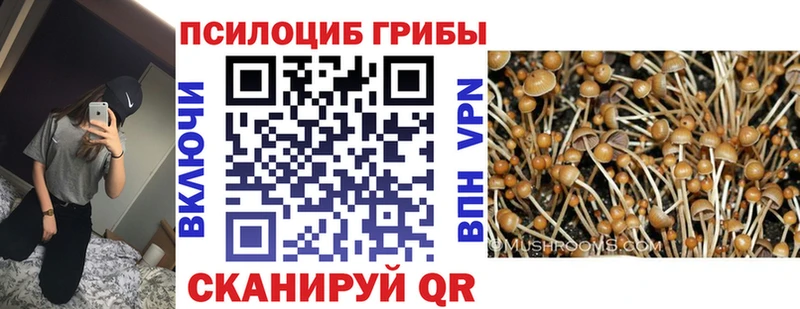 мориарти какой сайт  Правдинск  Псилоцибиновые грибы Psilocybine cubensis 